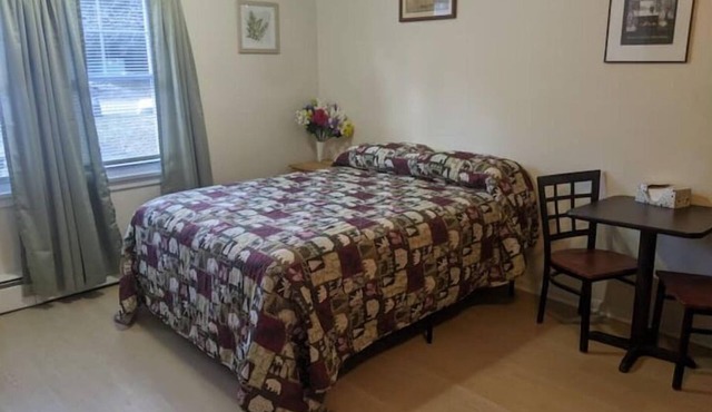 Saranac Lake Studio Apt on a budget! (New Listing)
