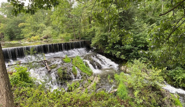 Serene Waterfall!
