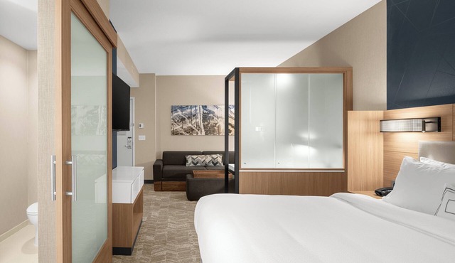 SpringHill Suites by Marriott Jackson