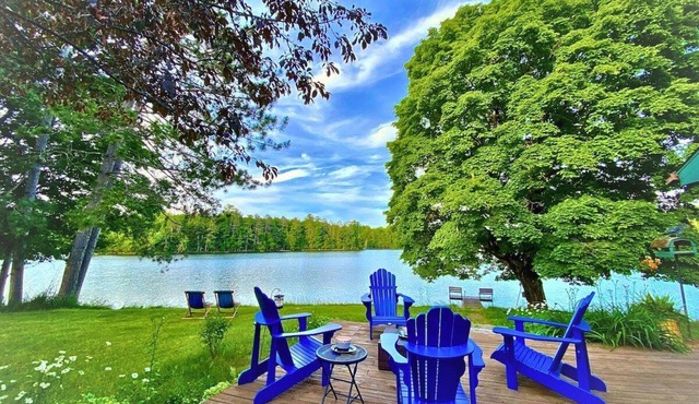 Sugar Maple at Hansen Lake