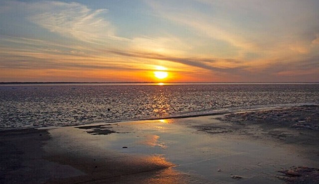 Sunset Shanty is the place to be-Relax at the Shanty! Say "Cheeseburger"