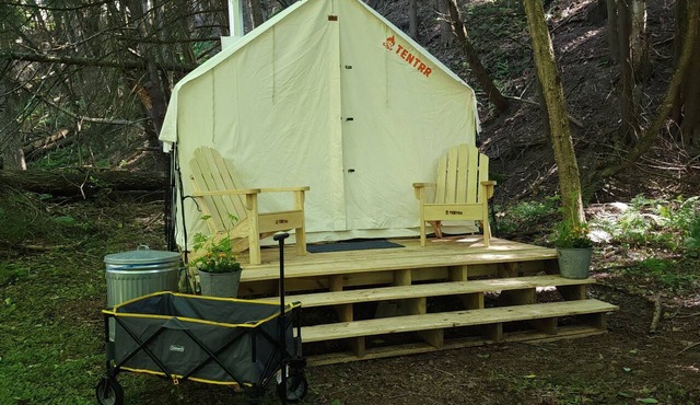 The Diner Camp Site! Walk to hot coffee and homemade pie!