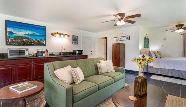 The Green Pineapple Studio apts