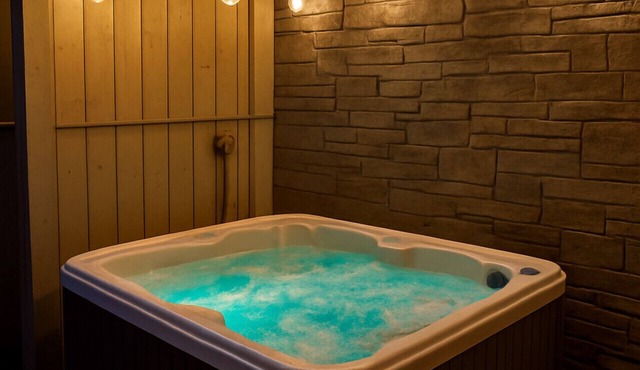 The Lakeside - Hot Tub, Dog Friendly, Trail Acces - Pontoon Rental - On Lake Winter