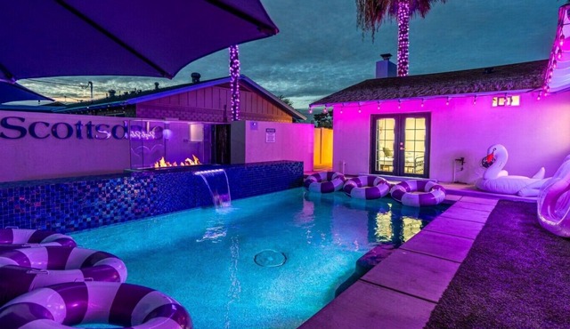 The Purple Palm: 88° Heated Pool Purple Light Show