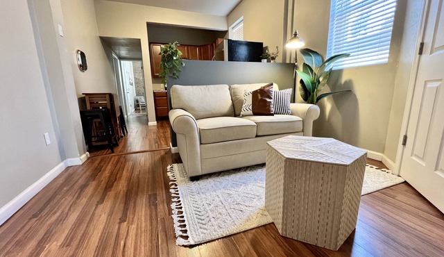 Tower Grove Pet Friendly 1 Bedroom - 4 mi to SLU & Barnes - Shared Laundry