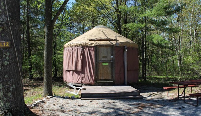 Tranquil Timbers Yurt 3
