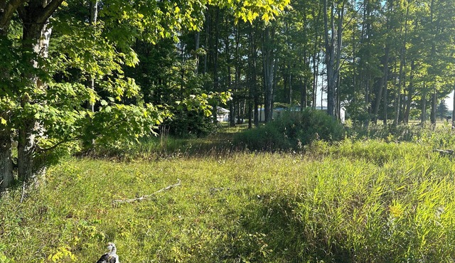 Welcoming rv sites in heart of the UP up to 30 amps with hookups