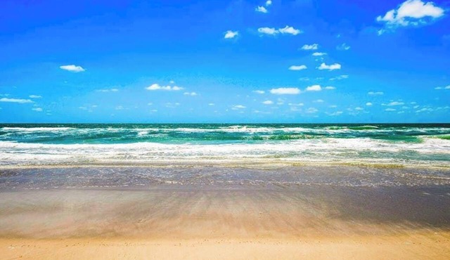 Wonderful studio near the beautiful beach