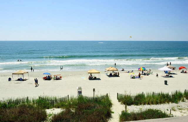 Ocean Front with Incredible Views -wifi, pool, corner unit, in-unit washer/dryer