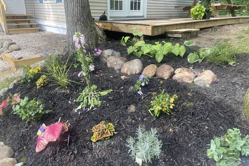 Photo of Outdoor in Palmyra