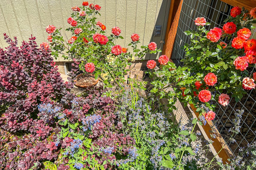 Photo of Outdoor in Crooked River Ranch