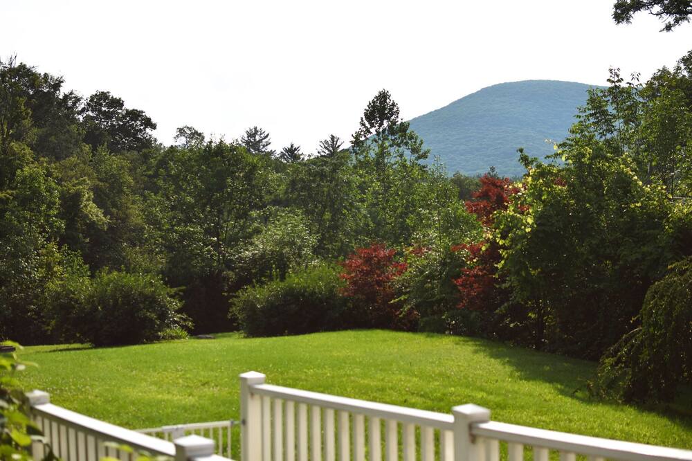 Photo of Outdoor in Willow