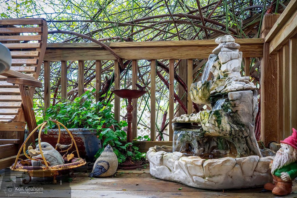Photo of Outdoor in Canyon Lake