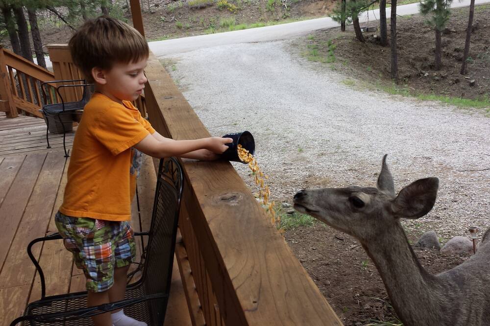 Photo of Others in Ruidoso