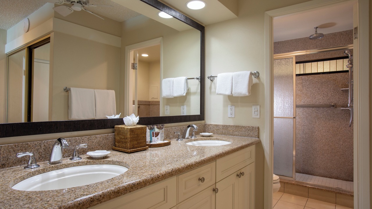 Photo of Bathroom in Napili