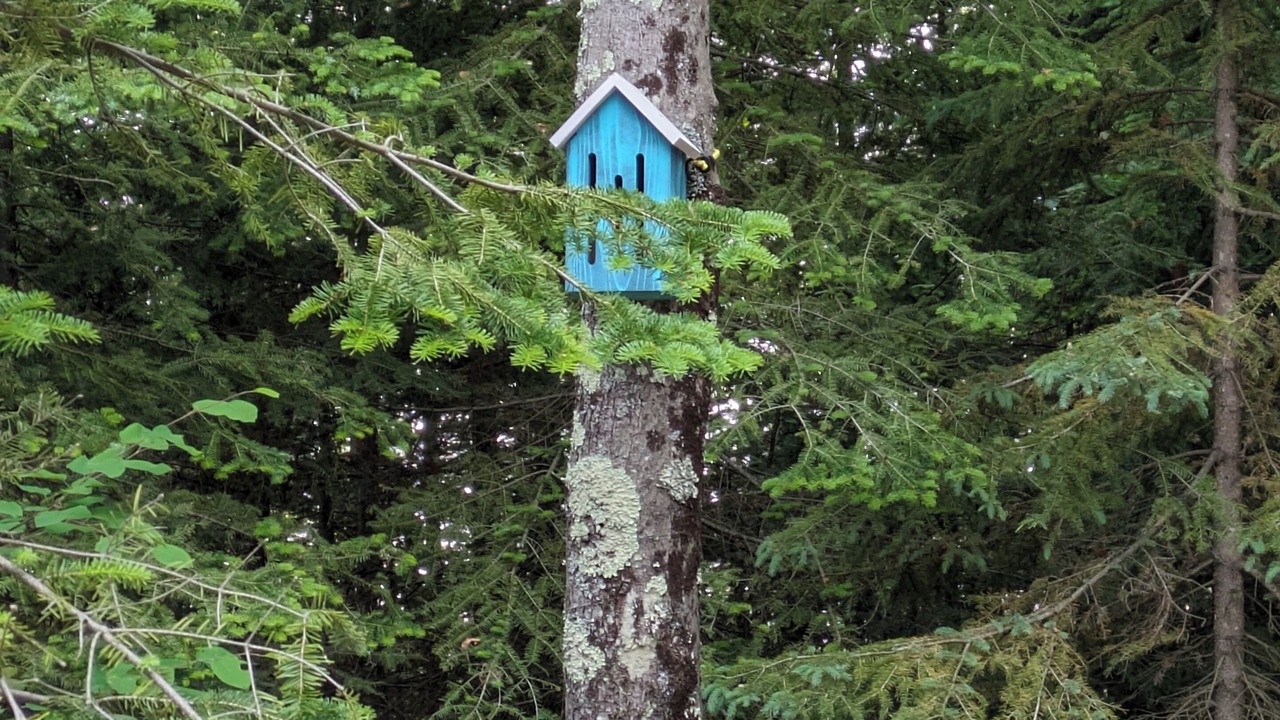 Photo of Outdoor in Ontonagon