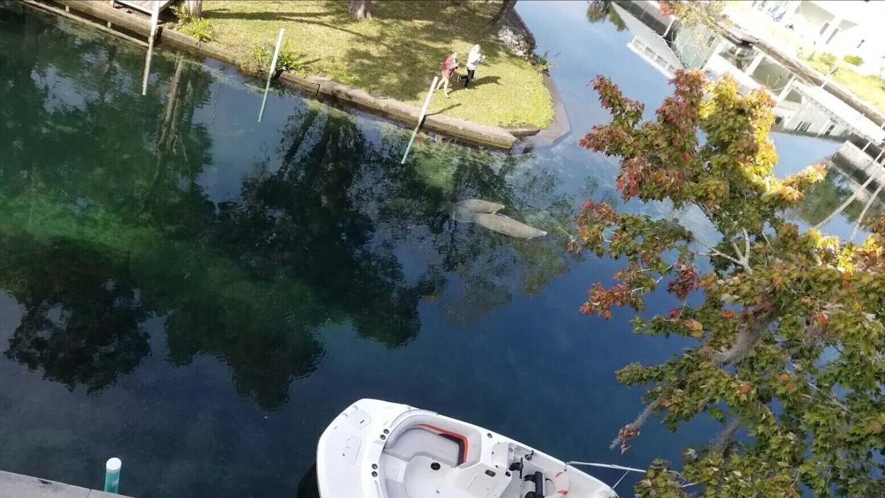 Photo of Others in Weeki Wachee Gardens