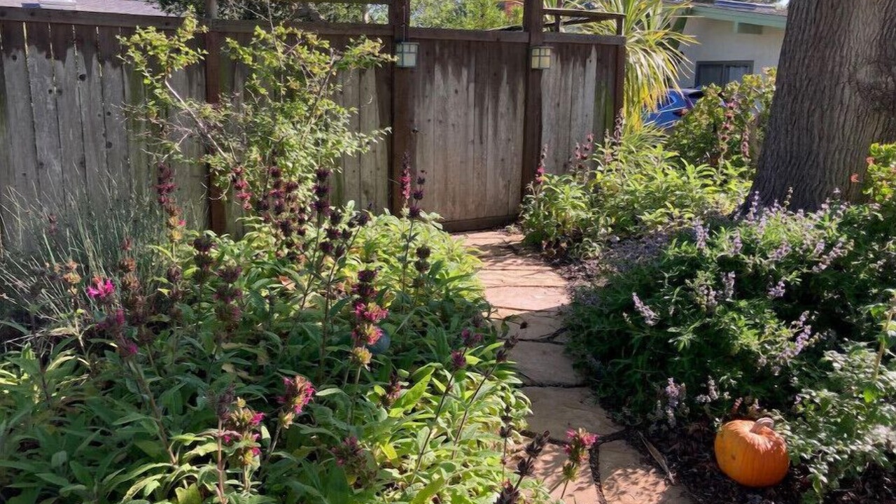 Photo of Outdoor in West Mesa