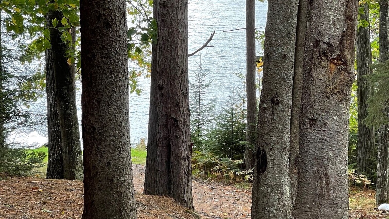 Photo of Outdoor in Iron River