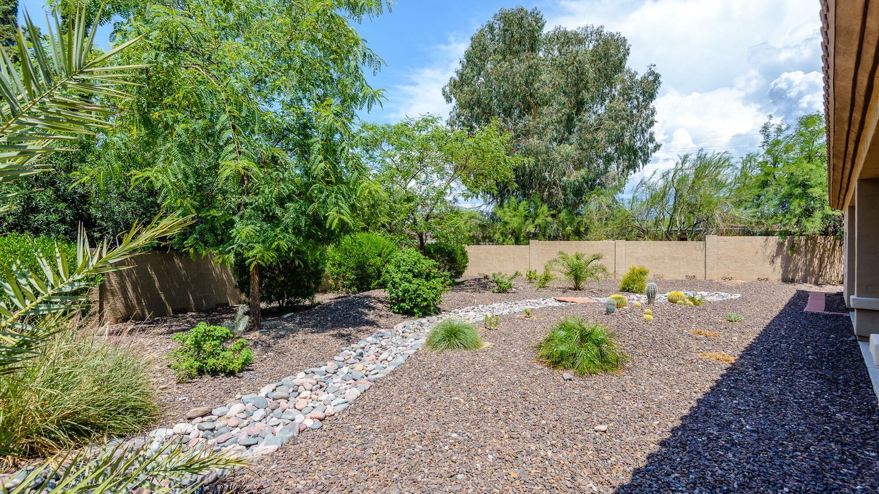 Photo of Outdoor in Cave Creek