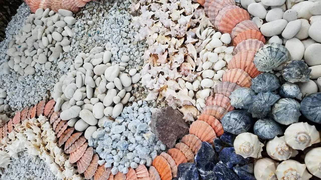Photo of Others in Springs