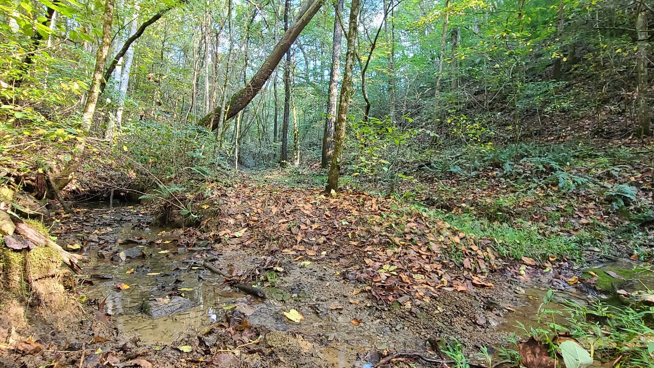 Photo of Outdoor in Morristown