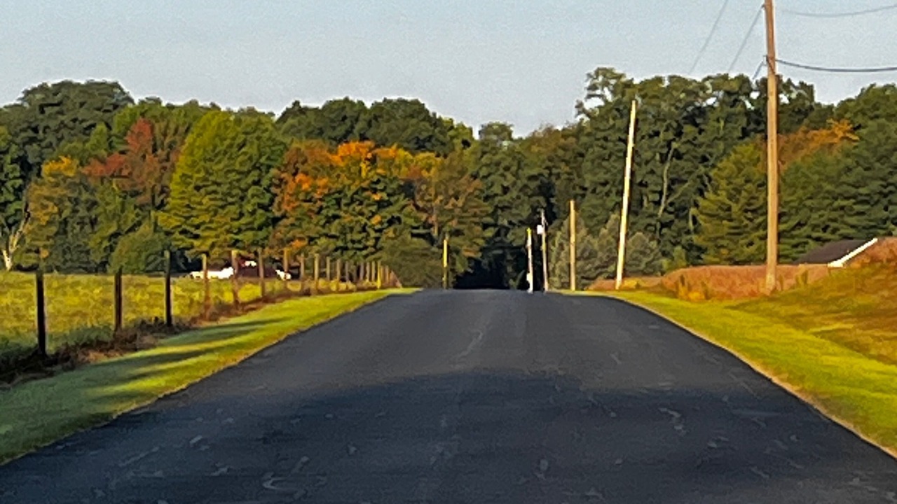 Photo of Others in East Leroy