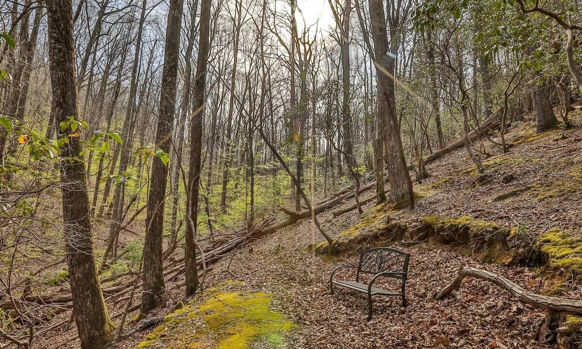 Photo of Others in Walnut Mountain