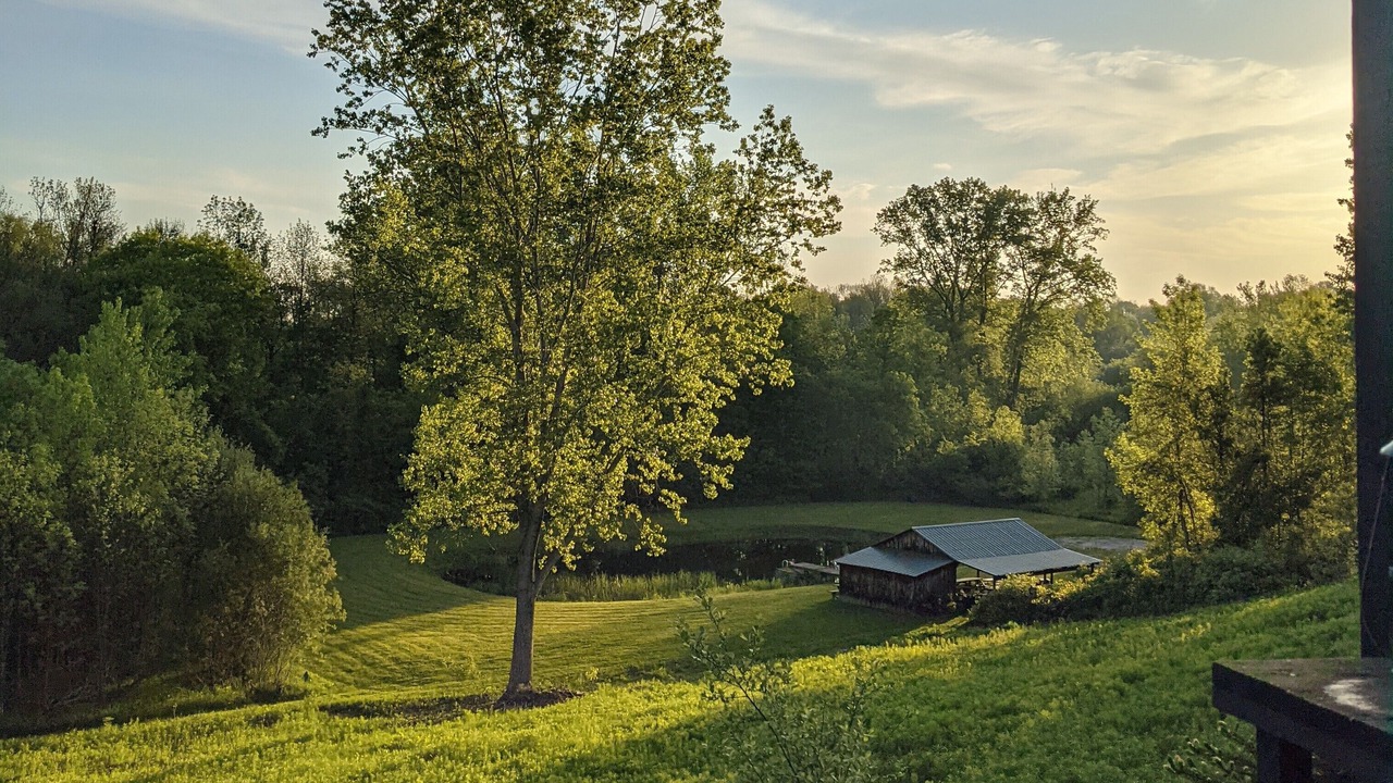 Photo of Outdoor in Town of Yates