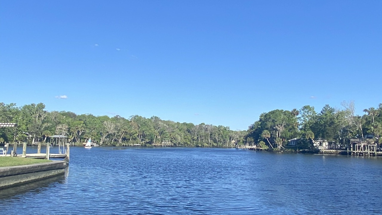 Photo of Others in Homosassa