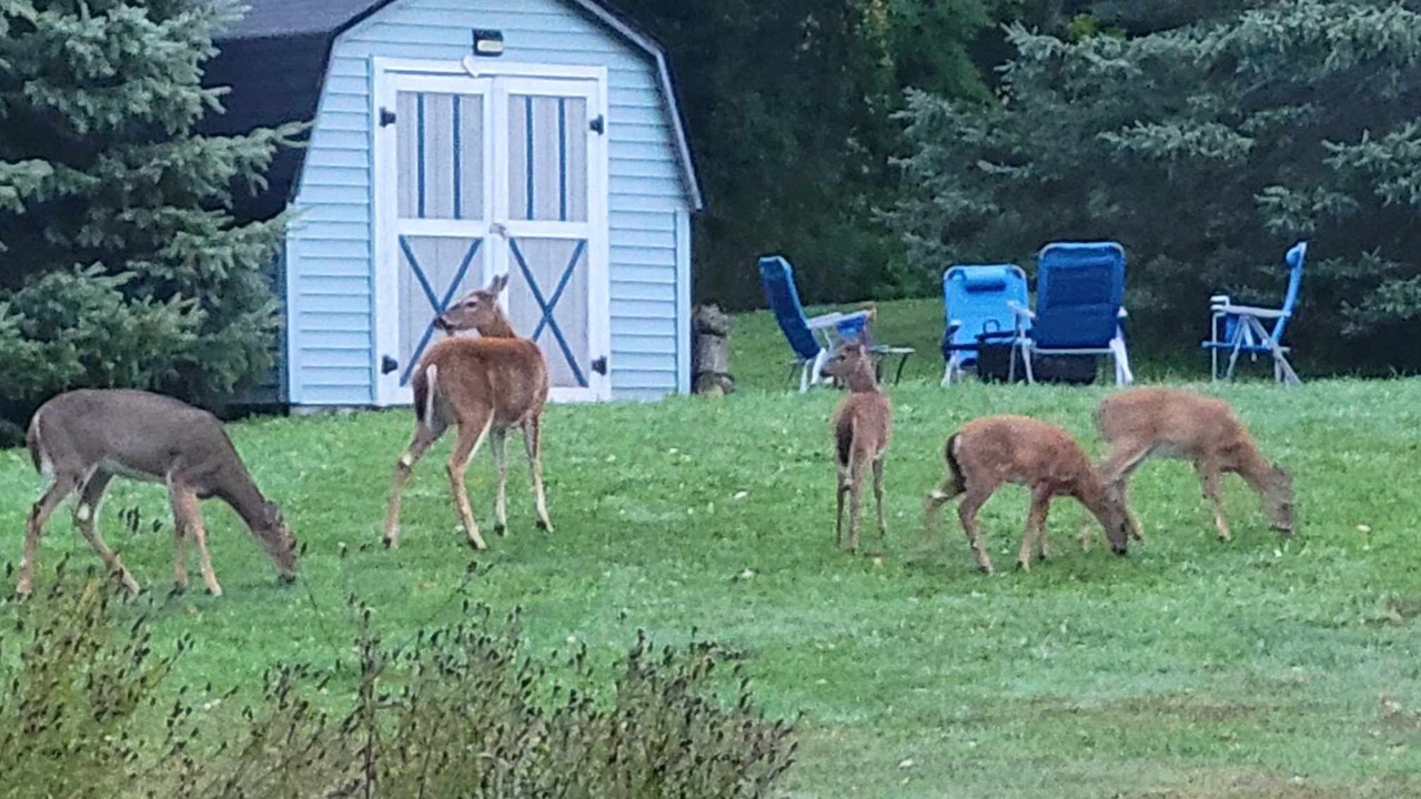 Photo of Outdoor in Bessemer