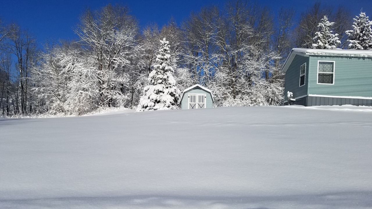 Photo of Outdoor in Bessemer