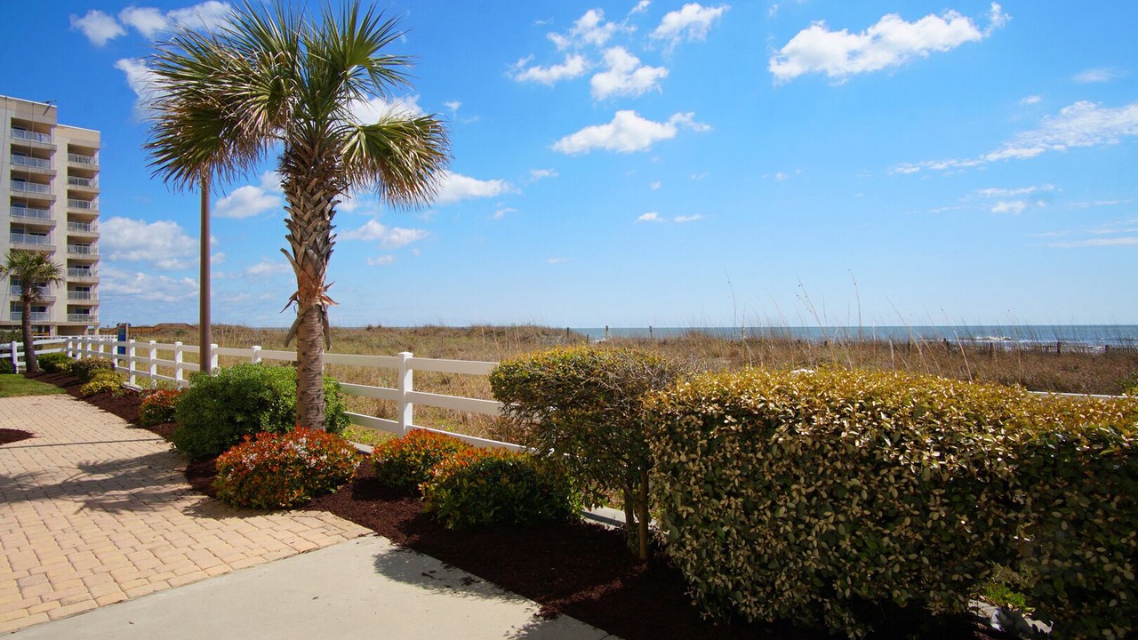 Photo of Outdoor in North Myrtle Beach