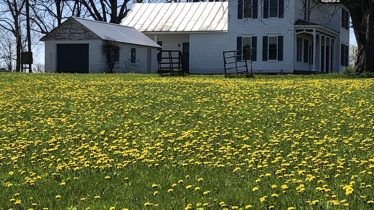 Photo of Outdoor in Kendall
