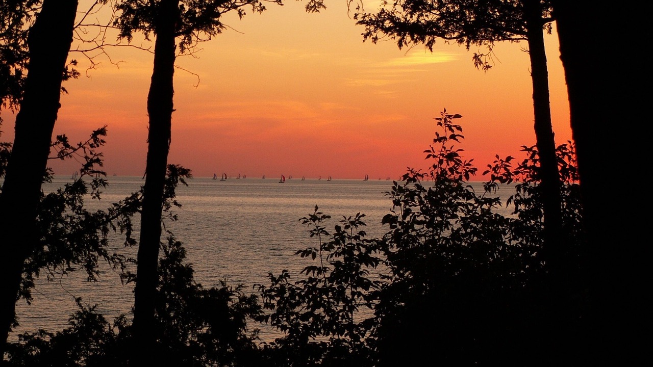 Photo of Others in Northport