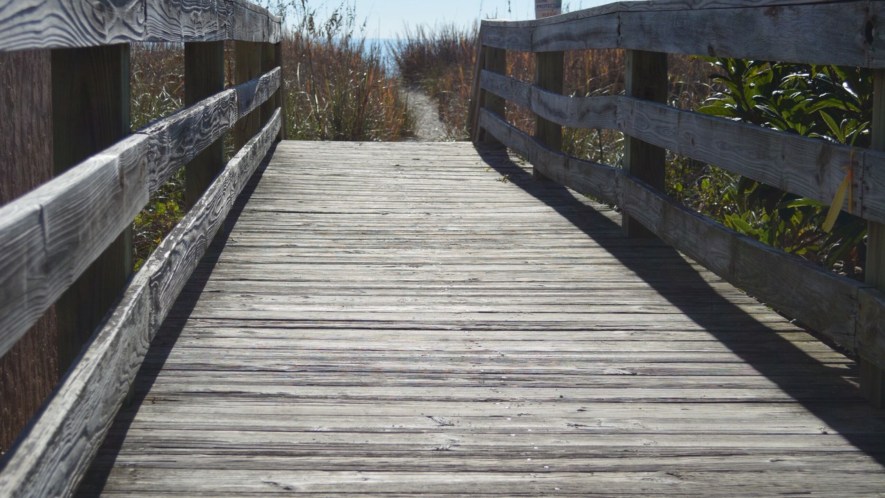 Photo of Others in Crescent Beach