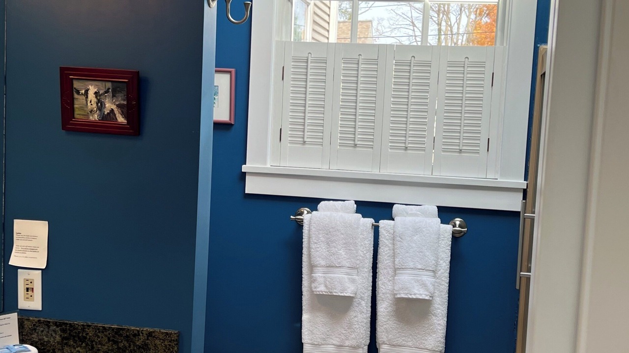 Photo of Bathroom in South Haven