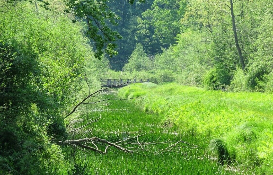 Photo of Others in Norton Shores