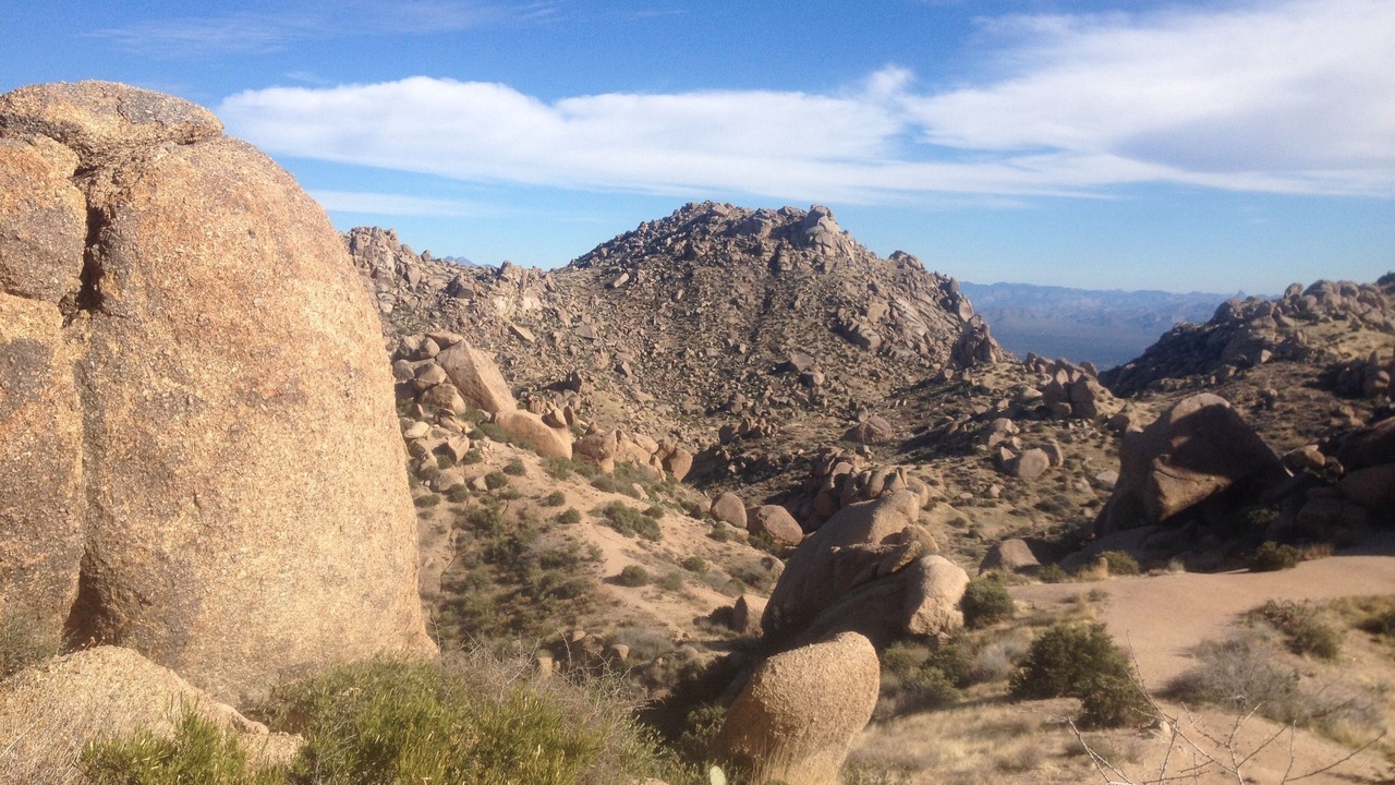 Photo of Others in North Scottsdale