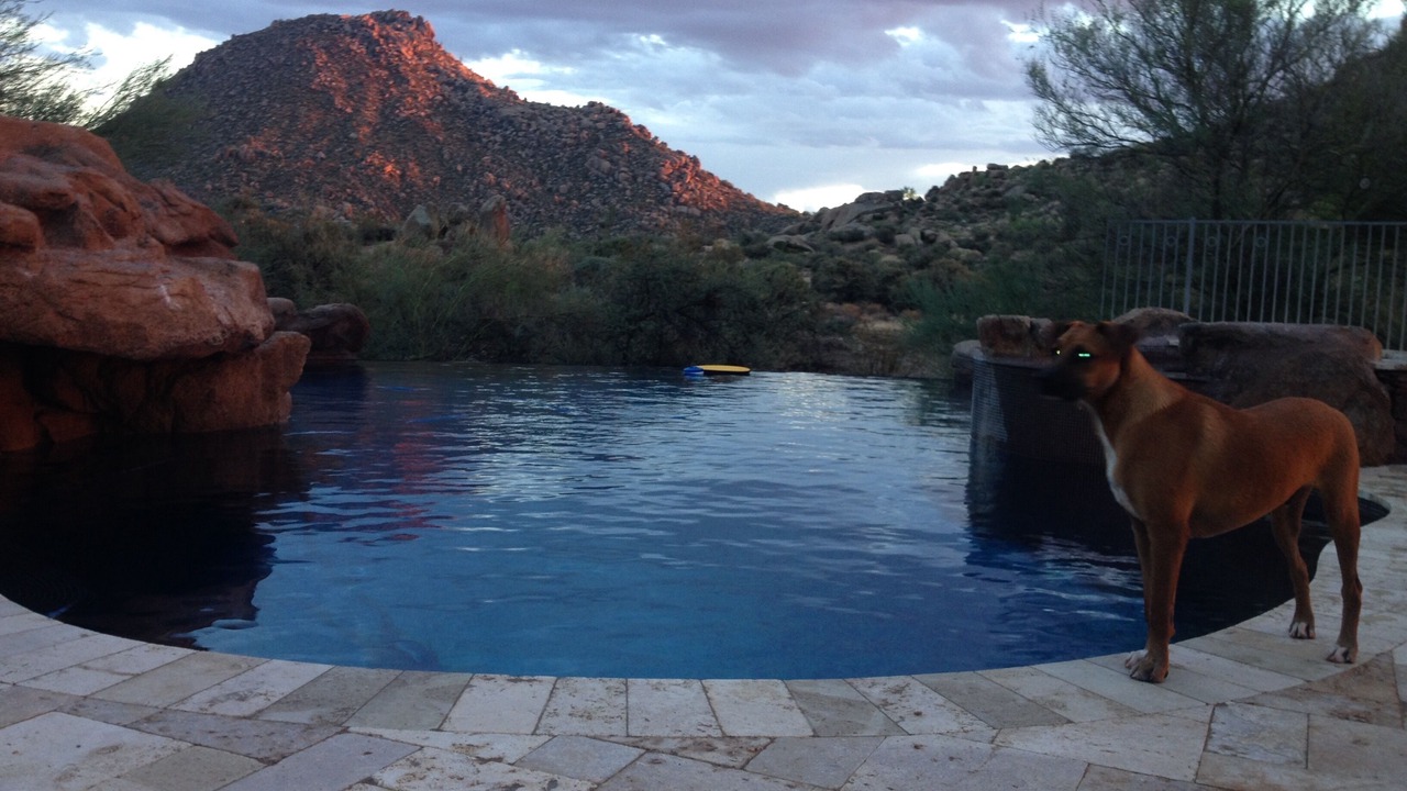 Photo of Others in North Scottsdale