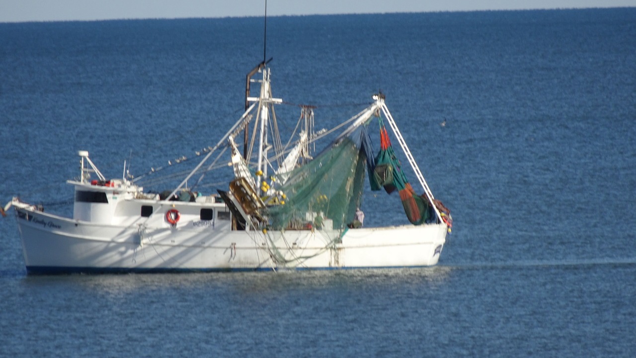 Photo of Others in Myrtle Beach