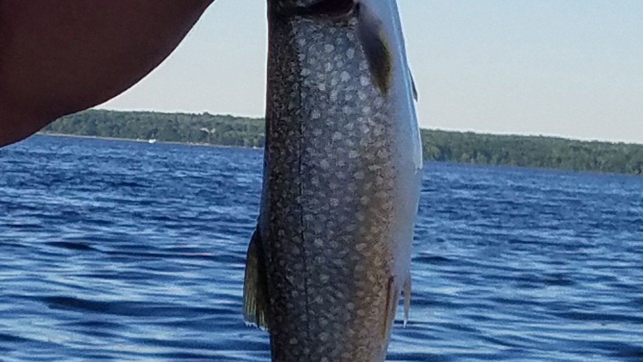 Photo of Outdoor in Town of Benton