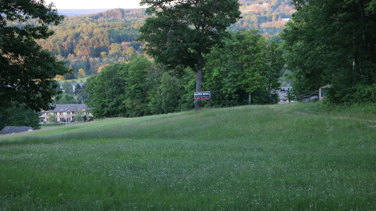 Photo of Others in Boyne Falls