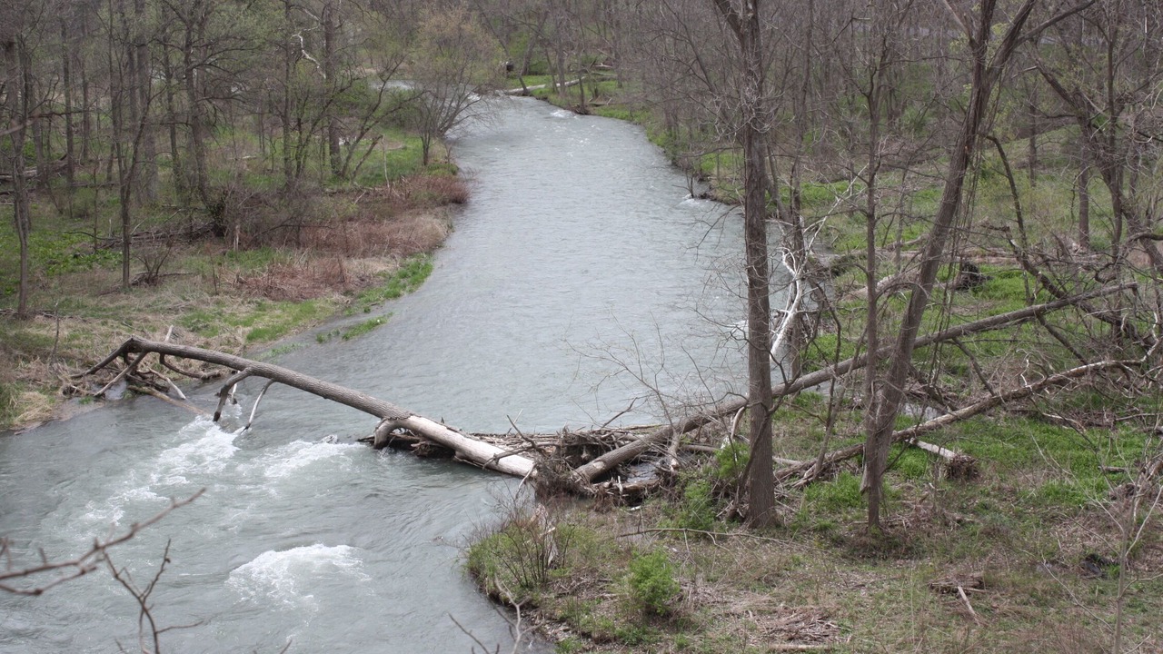 Photo of Outdoor in Town of Milo