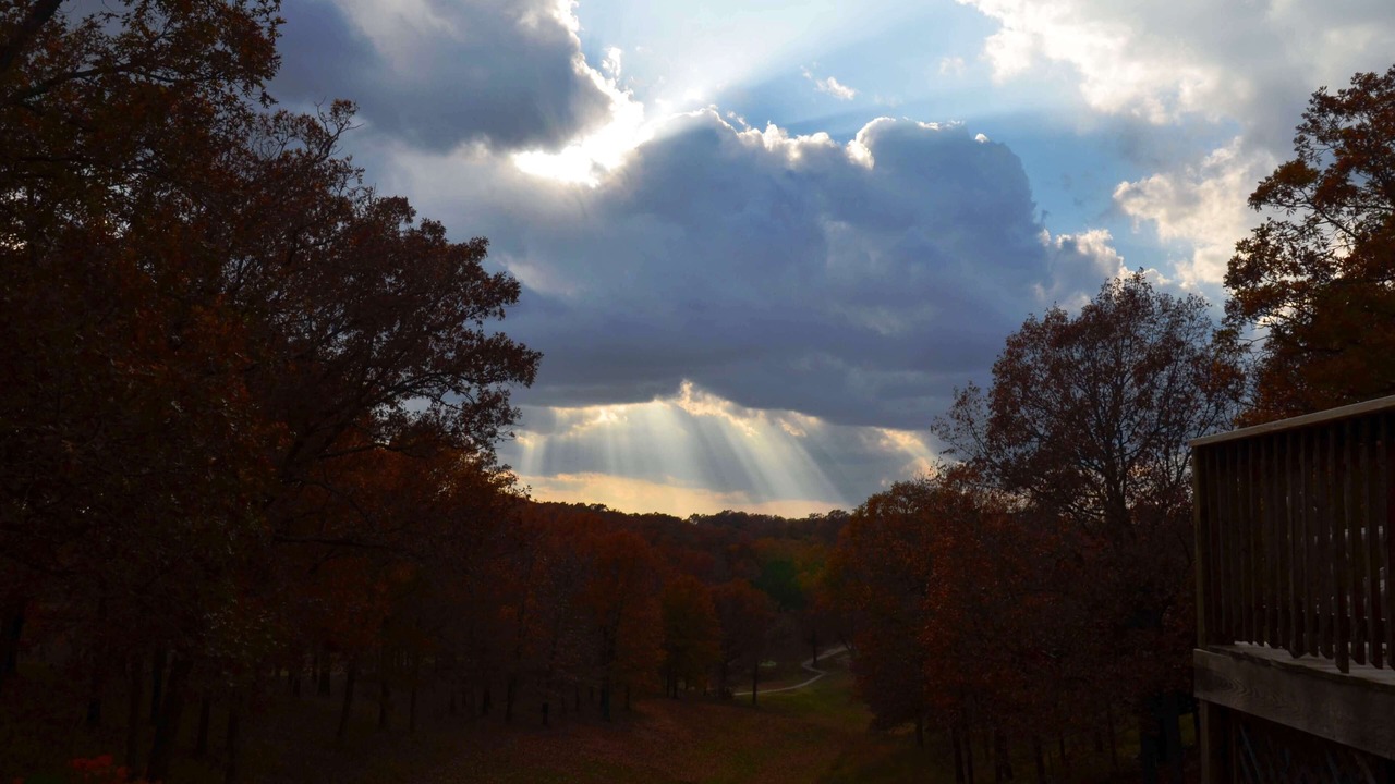 Photo of Others in Branson Cedars
