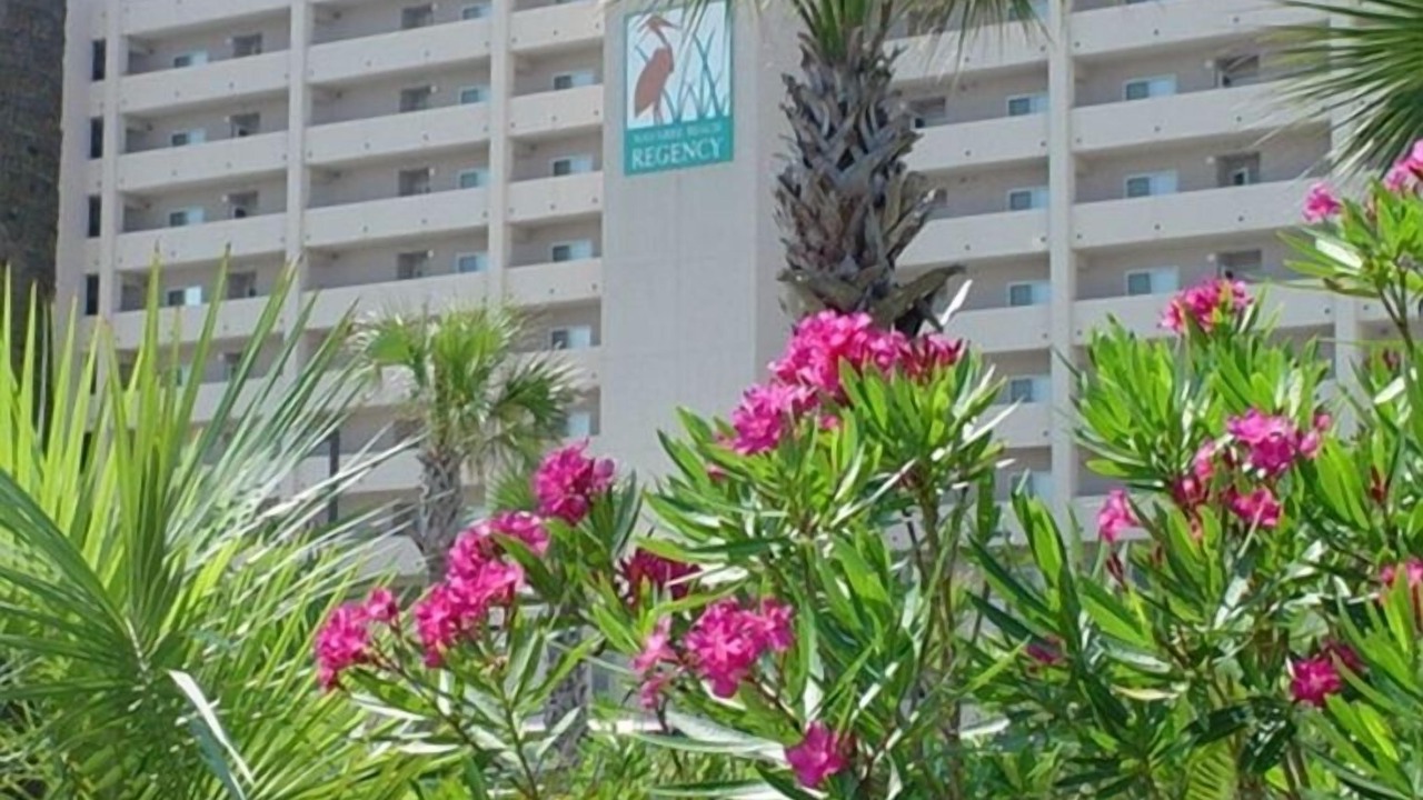 Photo of Others in Navarre Beach
