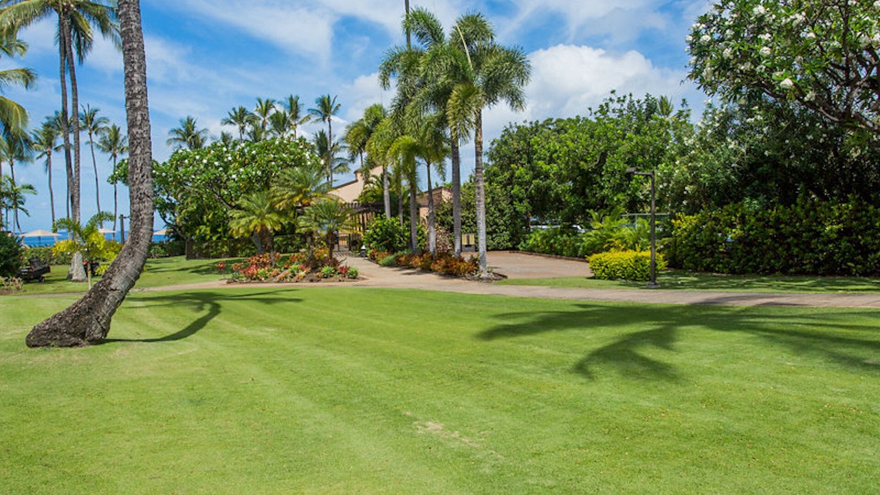 Photo of Others in Wailea