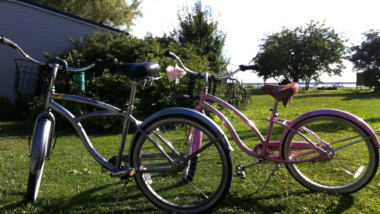 Photo of Others in Mackinac Island