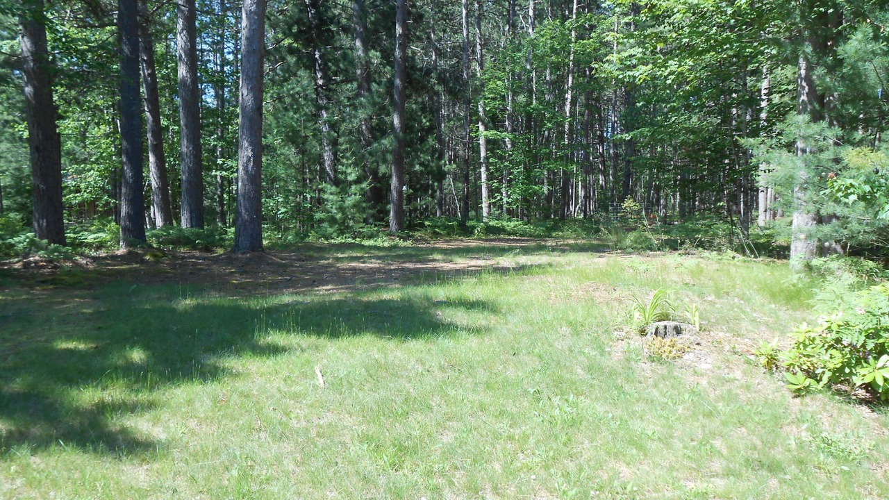 Photo of Others in Rumely